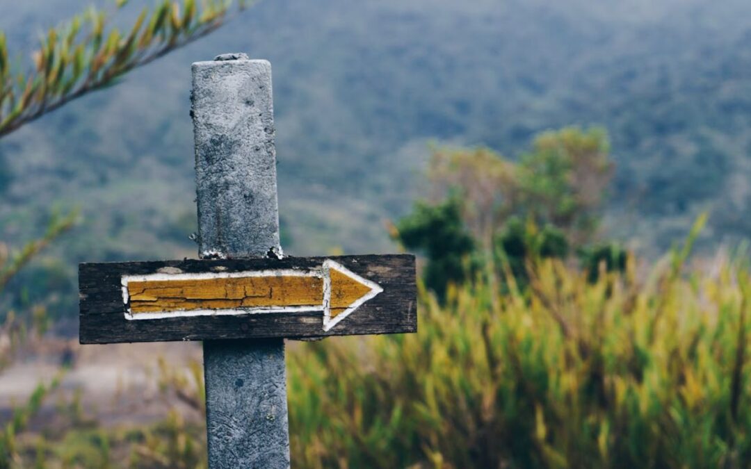 Pages That Lead, Not Confuse